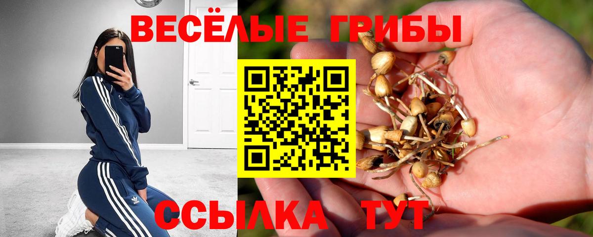 Псилоцибиновые грибы мицелий  Вход с VPN  Коломна 